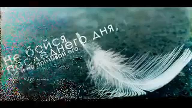 Афоризмы смотреть онлайн