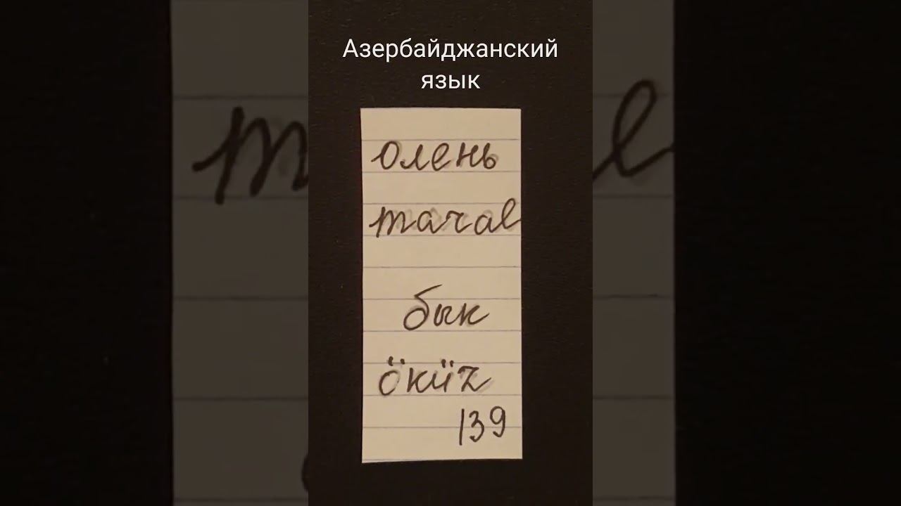 Азербайджанский язык. Слова олень maral, бык öküz смотреть онлайн
