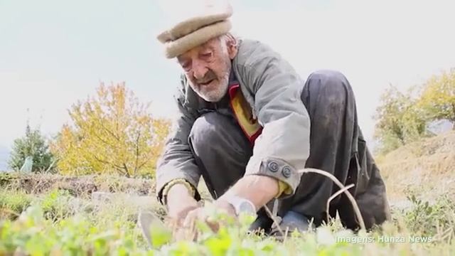 O SEGREDO DOS HUNZAS! Vivem até os 120 anos SEM CÂNCER!