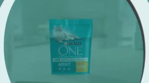 PURINA ONE Bifensis | Gato