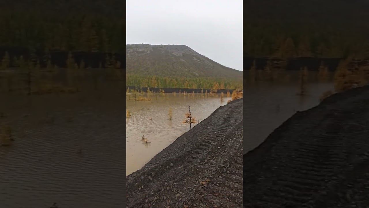 повседневный день смотреть онлайн
