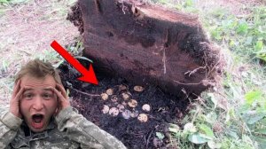 Ценные НАХОДКИ на Древней ПОСЕЛУХЕ, не Ожидали, что так Быстро НАБЬЕМ Карманы РАРИТЕТОМ!