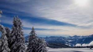 романс "Под лаской плюшевого пледа"