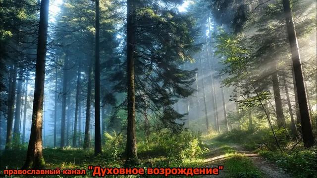 Не бойся никого, кроме Бога одного . Иоанн Златоуст, Авва Дорофей,Ефрем Сирин , Иоанн Лествечник. смотреть онлайн