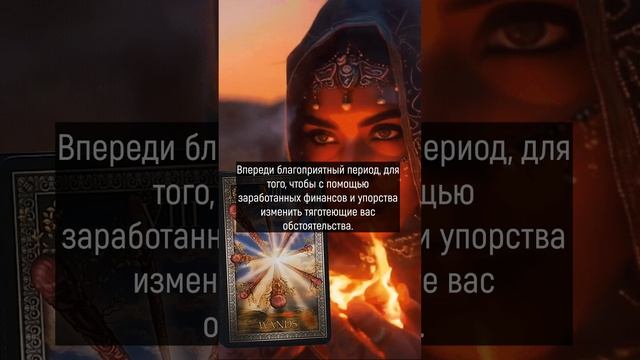 Тамарис таро щит последние расклады