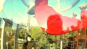 Снегири-герои!