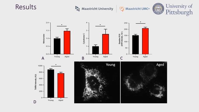#22976 Increased oxidative stress with age negatively impacts the urinary bladder urothelium смотреть онлайн