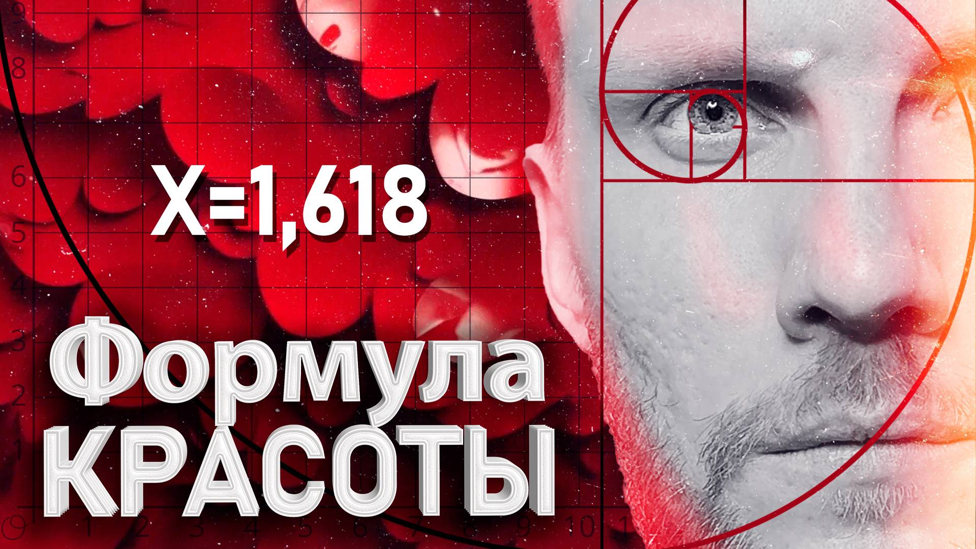 Формула Красоты / Математика Притягательности Леонардо / Золотое Сечение #наука #научпоп #красота