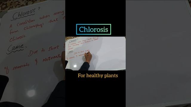 Chlorosis in plants