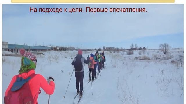 «История становления, развития и банкротства свинокомплекса Пугачёвский»