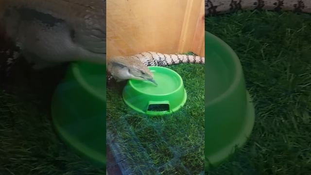 5 ноября 2021 г.(2) смотреть онлайн