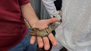 Египет 2024. ДЕШЕВЛЕ и КРУЧЕ ПЯТЕРОК❗️Bella Vista 4*. МОРЕПРОДУКТЫ в БЮДЖЕТНОМ отеле. Хургада сейча