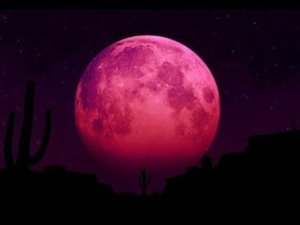 Bad Moon Rising - Creedence Clearwater Revival: with Lyrics(가사 번역)