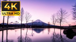 Спокойное видео в 4K