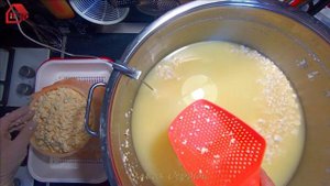 Сыр Тильзитер готовим дома. Полный рецепт и дегустация/ TILSITER RECIPE