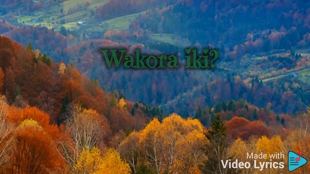 Rwanda - T-Y Wurwanda ft Fanny (Official video lyrics) New Rwandan music 2020 смотреть онлайн