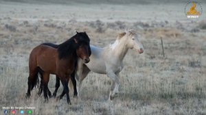 Неземная, необыкновенная музыка Сергея Чекалина! A Collection of relaxing soul music Sergey Chekali