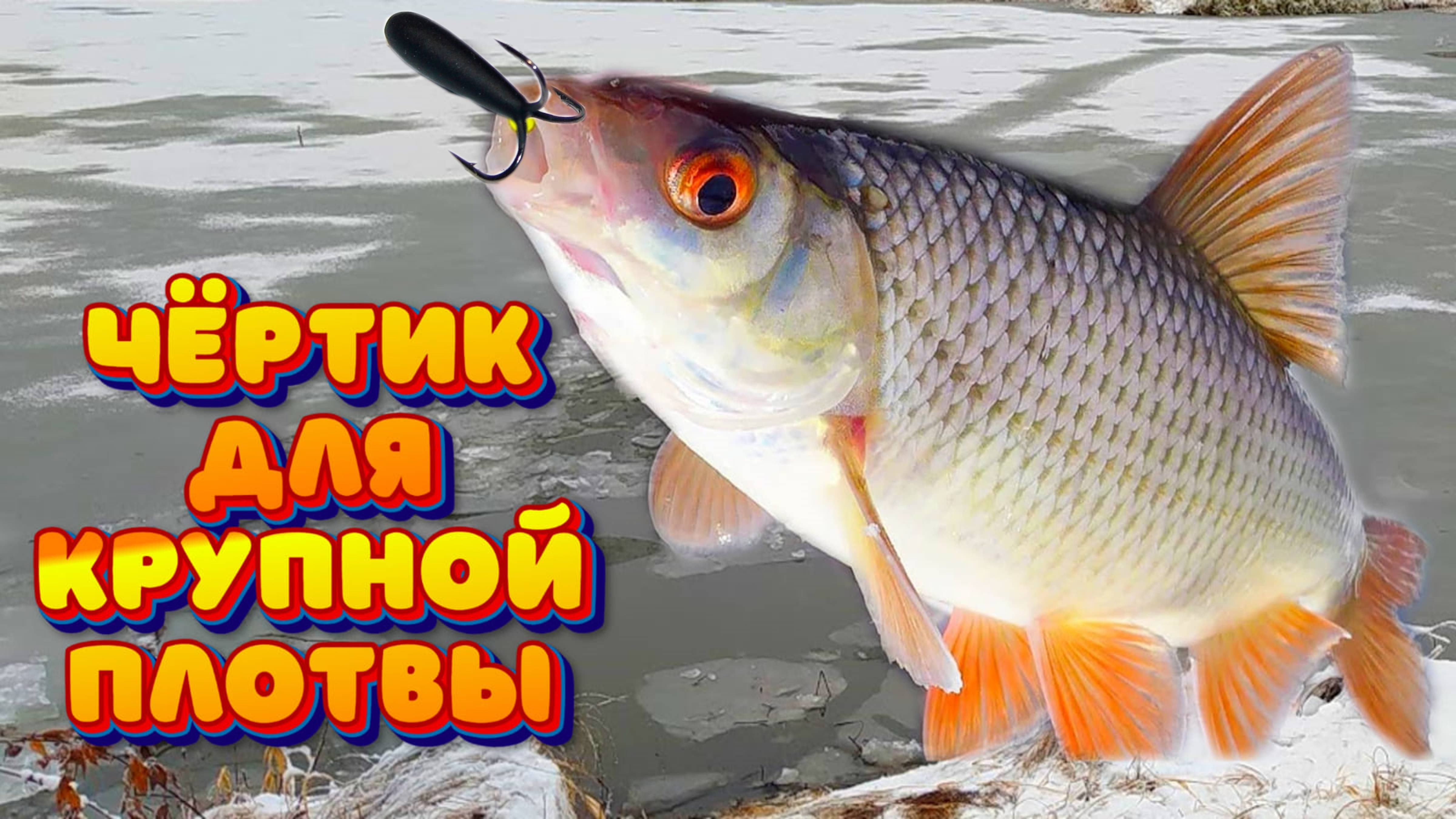 КРУПНАЯ ПЛОТВА не даёт покоя ЧЁРТИКАМ !!!