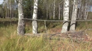 Крепкие дома в заброшенной деревне. Маленькая печальная деревня. Люди ушли отсюда навсегда.