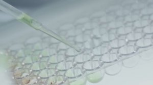 ЦЫПЛЕНКОВ ТОЛКАЕТ ФУФЛО ПРО ТЕСТОСТЕРОН