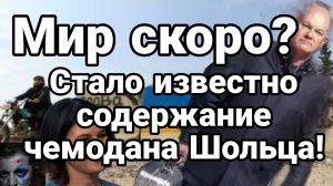 МРИЯ⚡️ 02.12.2024 ТАМИР ШЕЙХ. Чемодан Шольца. Сводки с фронта Новости