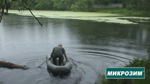 Ряска в пруду + биопрепарат Микрозим Понд Трит. Отзывы. Борьбы с загрязнением водоемов.