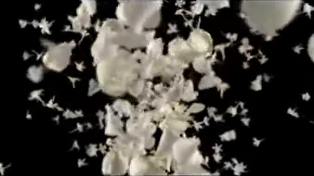 ROUGE ADS Dior J'adore смотреть онлайн