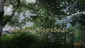 Стану деревом