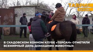 В Скадовском конном клубе "Терсан" отметили Всемирный день домашних животных