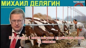 В России с 1 июля вступил в действие закон «о навозе»