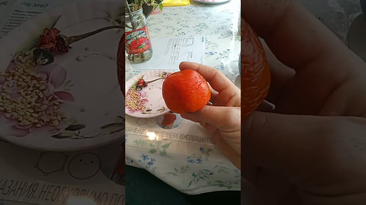 Жёлтый помидор - хурма на семена.  Добываю новые семена для ассортимента. 06.05.2023 часть 2