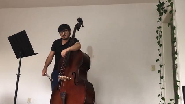 Sesión de técnica instrumental con Juan García, contrabajista residente del Ensamble CEPROMUSIC смотреть онлайн