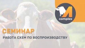 Работа схем по воспроизводству | Семинар М-комплекс