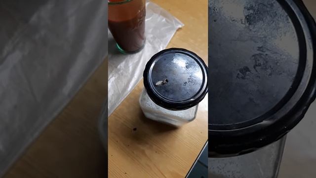 ШОК.таракан меняет хитиновый панцирь. смотреть онлайн