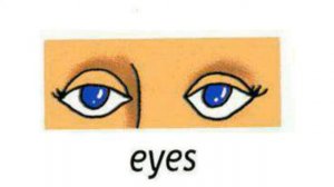 How to Pronounce Eyes in British English