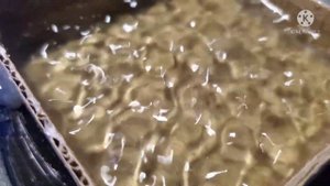 Фигуры хладни в воде