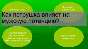 Как петрушка влияет на мужскую потенцию?