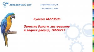 Замятие бумаги Kyocera M2735dn. Сервисный центр "Заправочный цех" в Оренбурге.