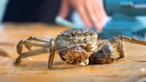 8 самых опасных ракообразных