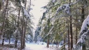 Зима на пороге