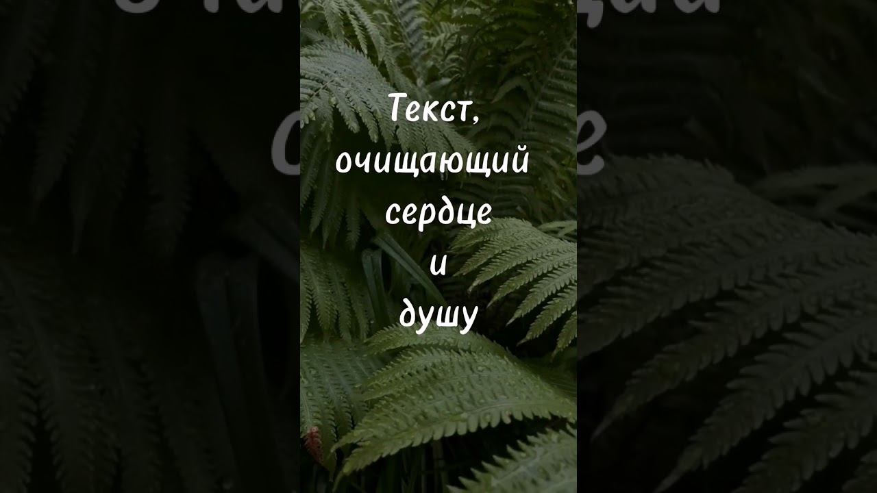 inst:@daria_kmvw