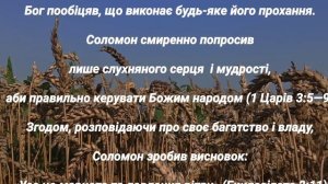 Соломонова мудрость! #жизнь, #народнаямудрость, #жиза #соломон,
