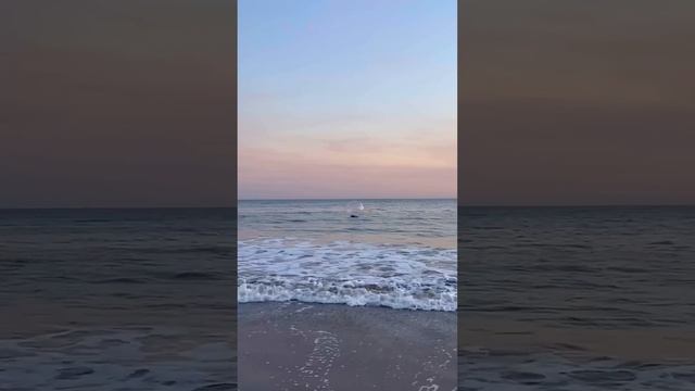 य बद वल क अदर फस गय