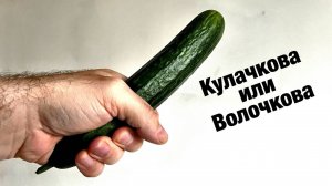 Про Дуню Кулачкову, зачем нужна женщина?