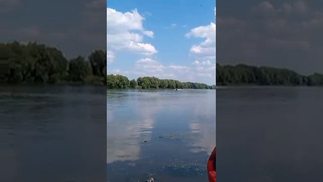 Басс Тракер 1