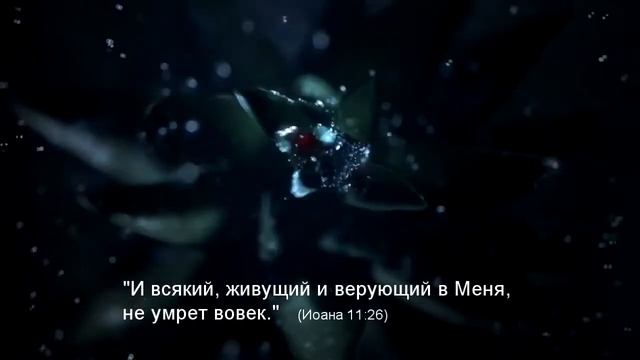 ANGEL CENTER - Иисус- Жизнь смотреть онлайн