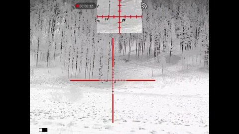 RikaNV GTR 650 (Guide TR650)