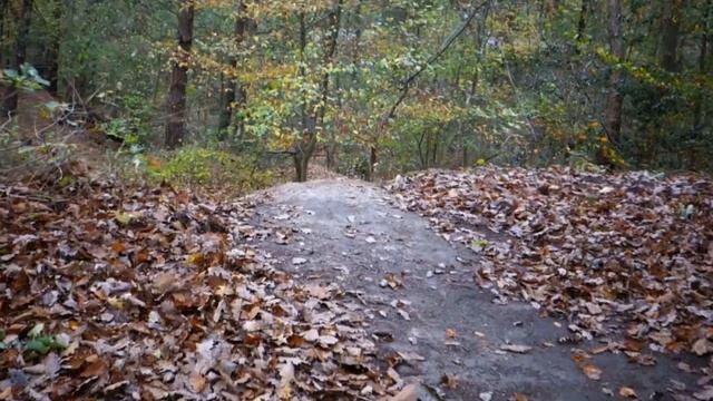 Freeride in Autumn! - Ghost Fr Amr 8 смотреть онлайн