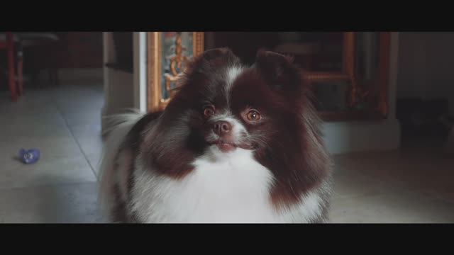 wedding смотреть онлайн