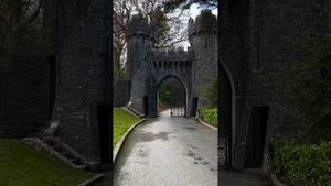 ВИДЕОЗАЛИПАЛКА развлекательная_12